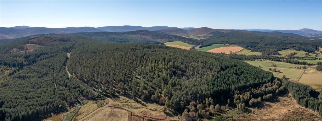 Additional image 5 of Arntilly Wood, Banchory, Aberdeenshire, AB34