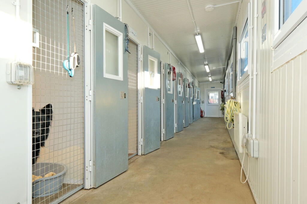 Additional image 51 of Fairways Pet Haven, Newmachar, AB21