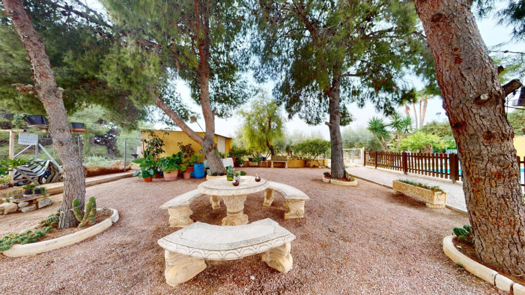 Additional image 2 of Valencia, Alicante, Crevillente, Spain