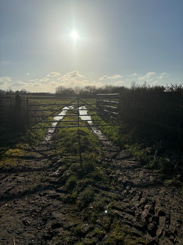 Additional image 5 of Church Lane, Huxley, CH3