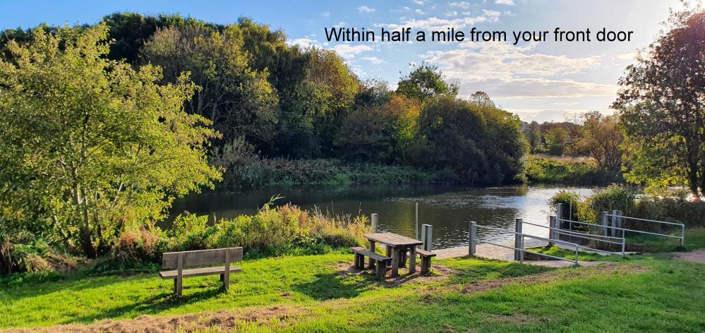 Additional image 14 of Station Terrace, Wimborne, BH21 1RF