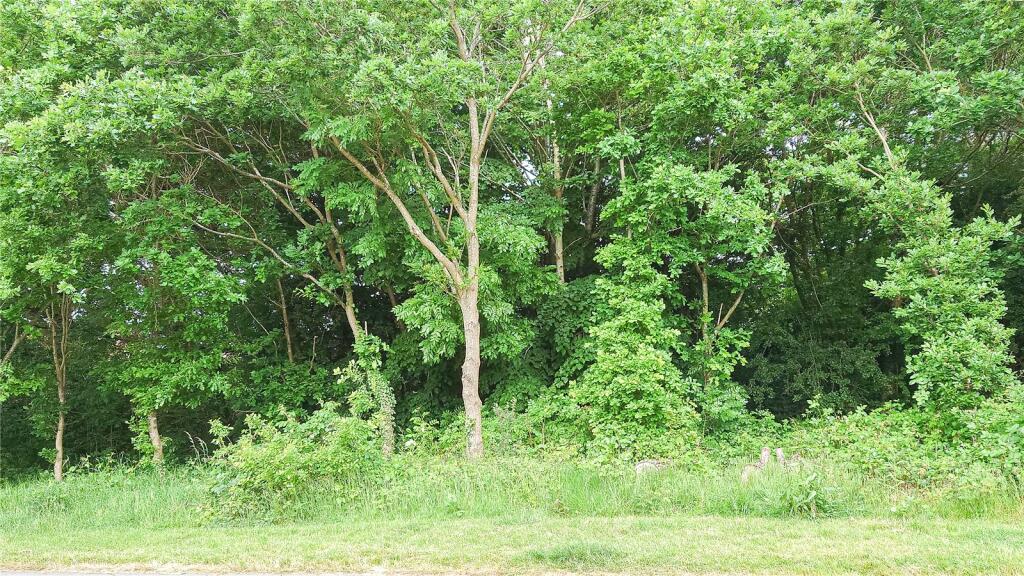 Additional image 24 of Broomyshaw Close, Tamworth, B77