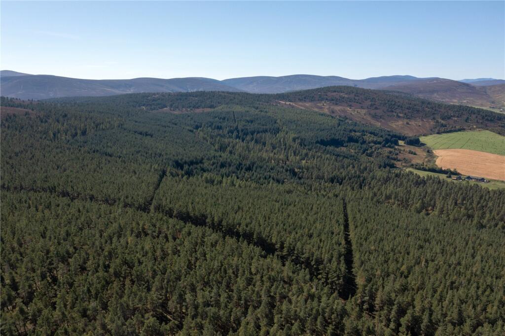 Additional image 2 of Arntilly Wood, Banchory, Aberdeenshire, AB34