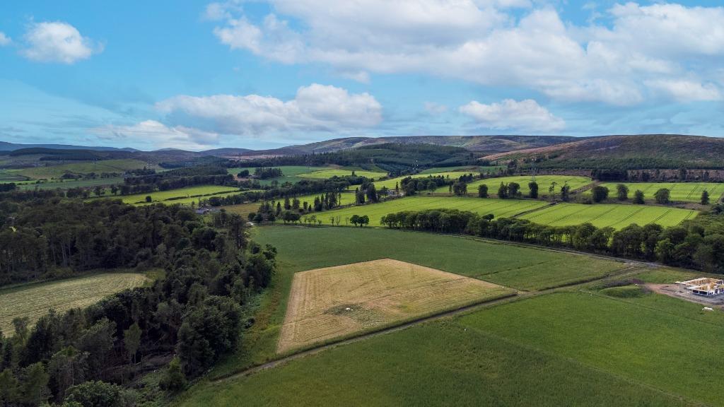 Additional image 6 of Fasque Estate, Aberdeenshire, AB30