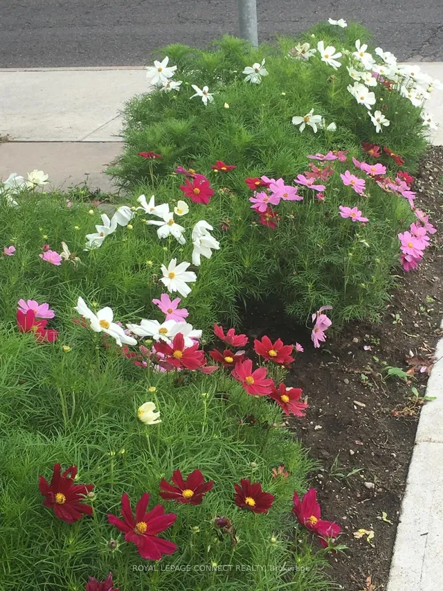 Additional image 40 of 3785 Ellesmere Rd