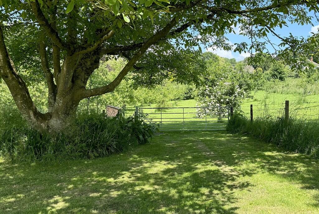 Additional image 20 of Bruton, Somerset, BA10