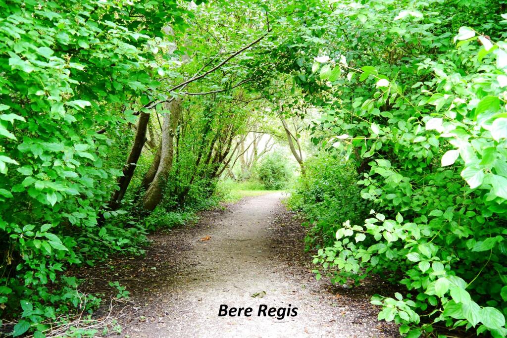 Additional image 10 of Bere Regis
