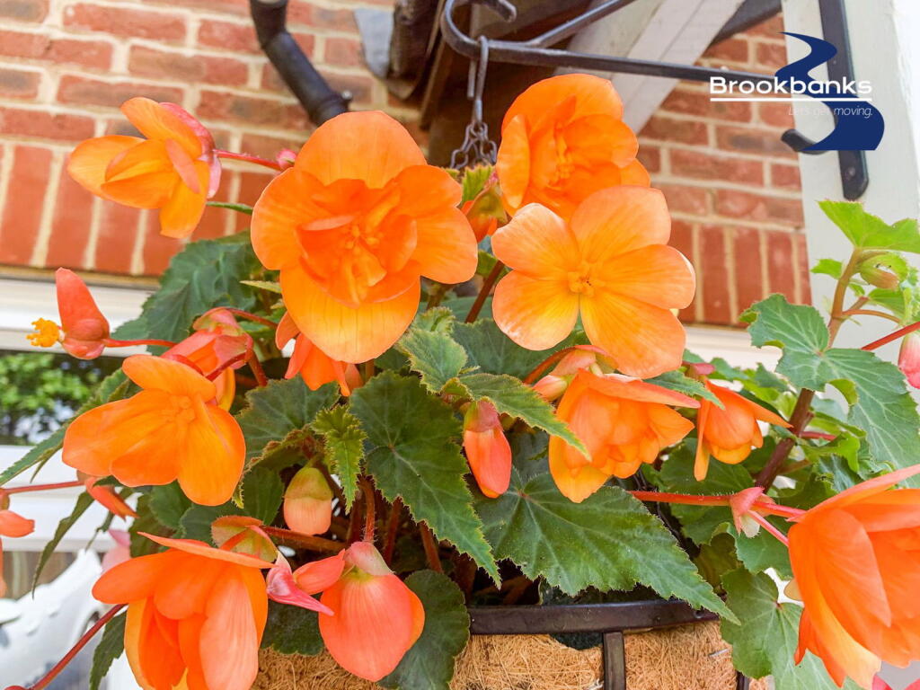 Additional image 31 of Hibbs Close, Swanley, Kent, BR8