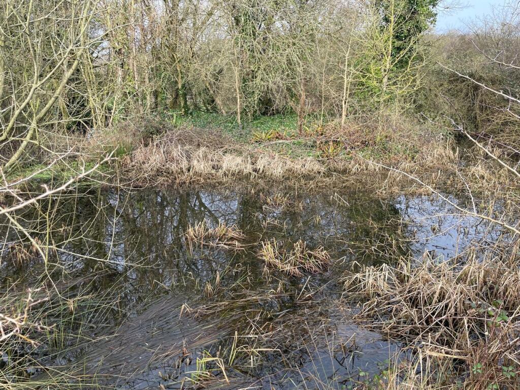 Additional image 7 of Easton Hill, Easton, Wells, BA5