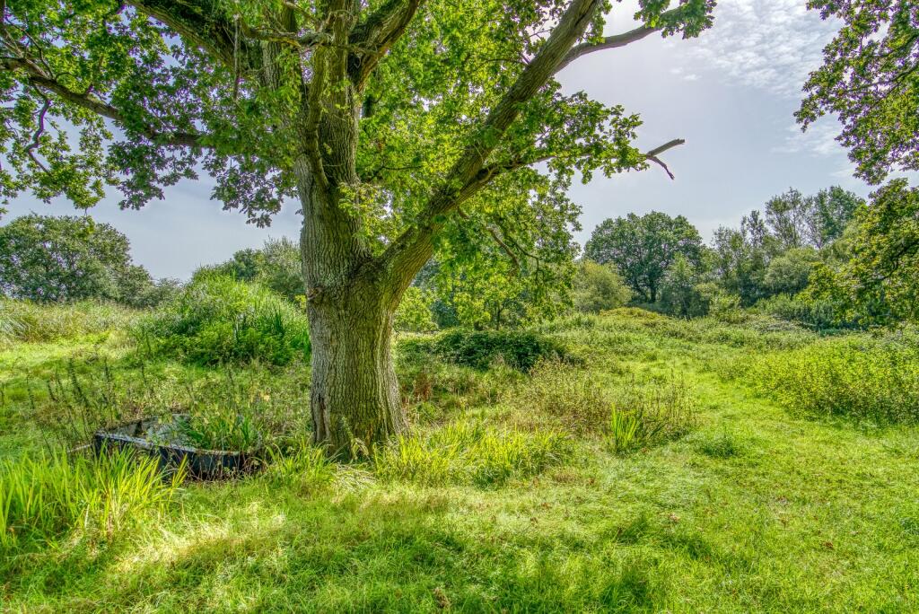 Additional image 20 of Blandford Road North,, Beacon Hill, Dorset, BH16