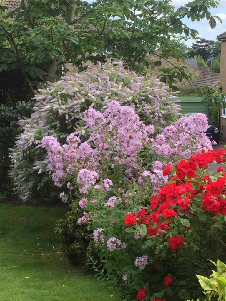 Additional image 37 of Wheatley Lane Road, Fence, Burnley