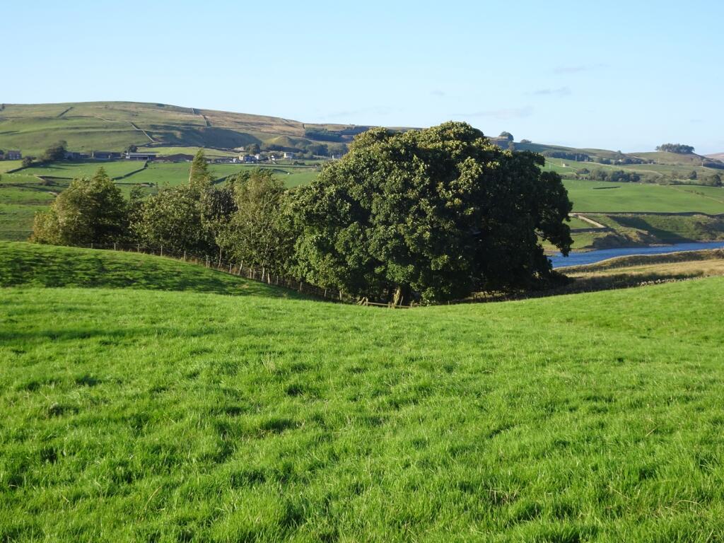 Additional image 2 of Kelton, Middleton-in-Teesdale, County Durham, DL12