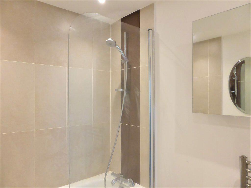 Additional image 8 of Brighton Belle - P1673