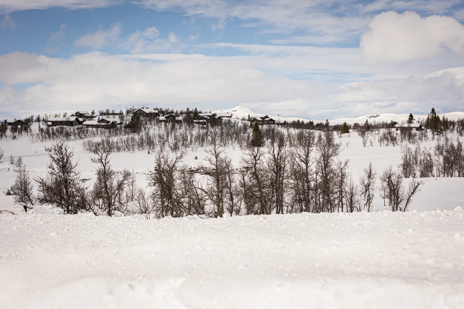 Additional image 3 of 123 Forest Lane, 1234 Oslo, Norway