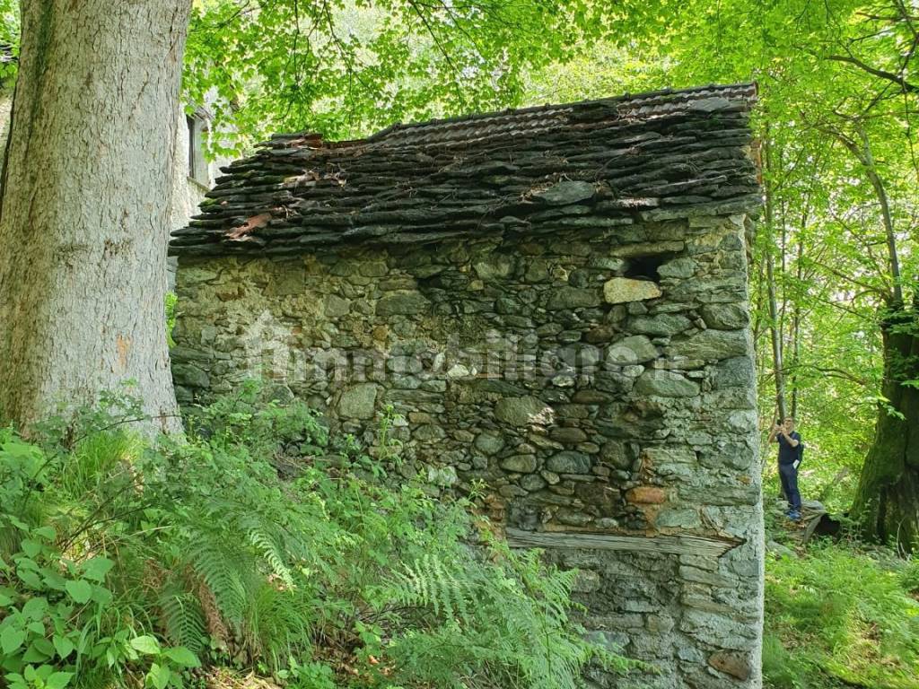 Additional image 3 of Cremia