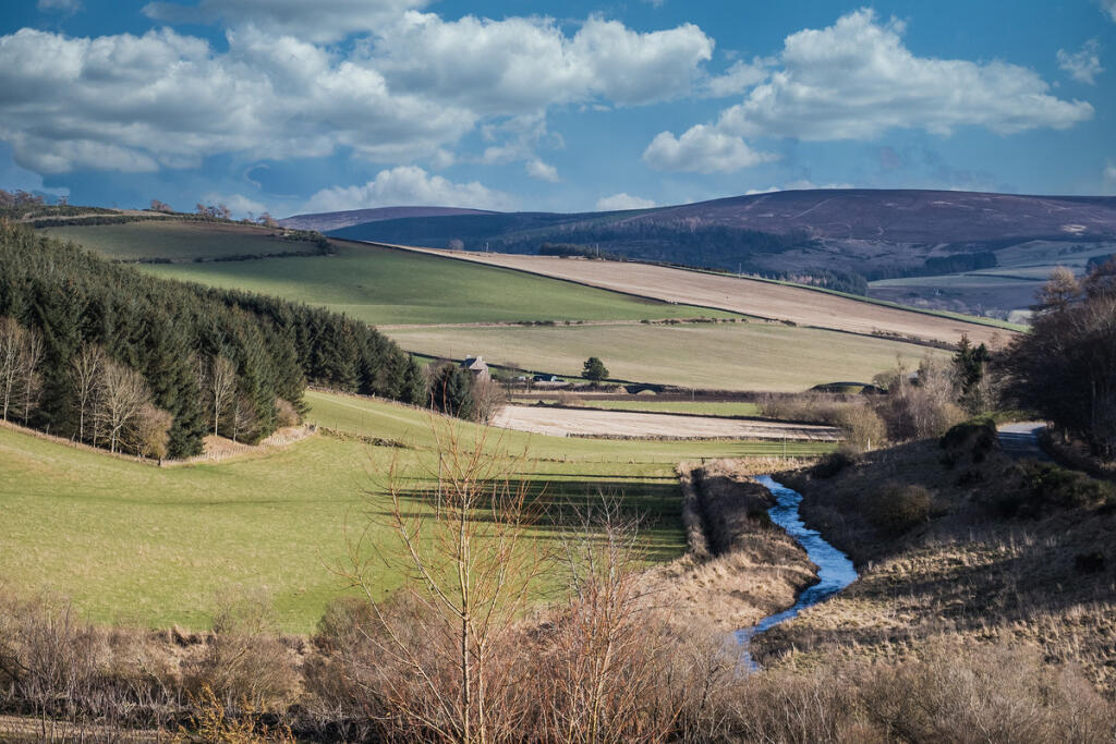 Additional image 37 of Muir Of Fowlis, Alford, AB33