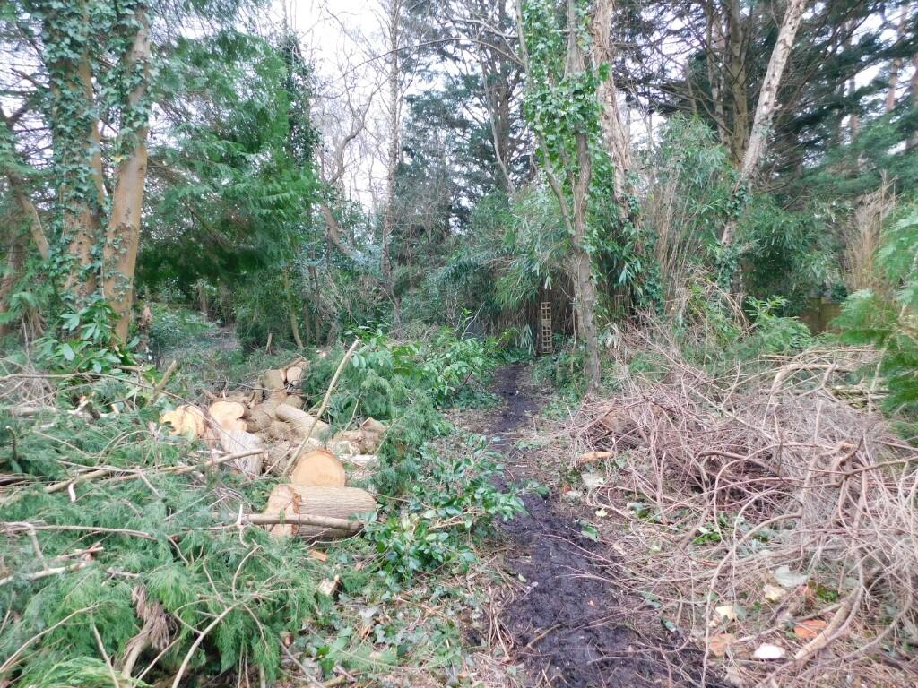 Additional image 20 of Hurn Road, Christchurch