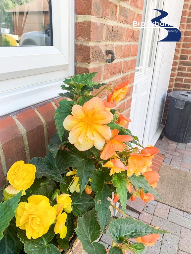 Additional image 28 of Hibbs Close, Swanley, Kent, BR8