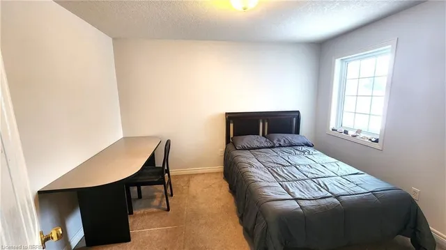 Additional image 23 of 11 Apple Ridge Dr