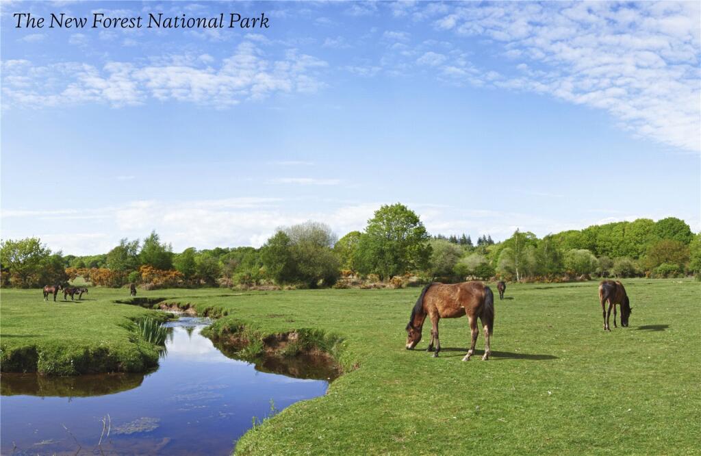 Additional image 11 of Aspen Place, New Milton, Hampshire, BH25