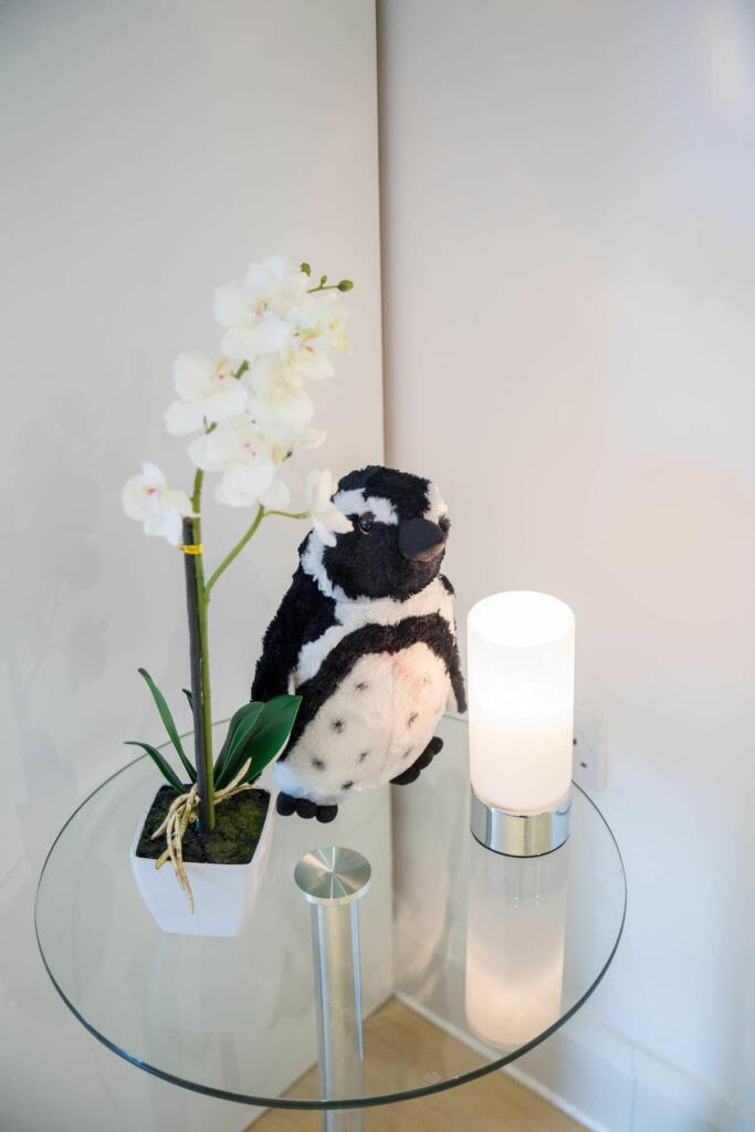 Additional image 8 of Flat , Queens Apartments, - Queens Road, Clifton, Bristol