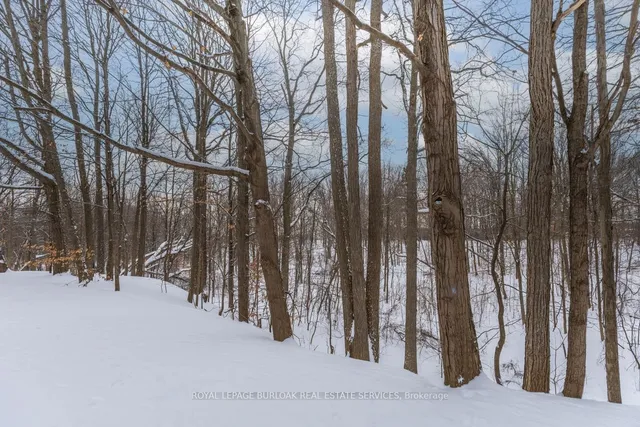 Additional image 31 of 3480 Upper Middle Rd Unit 53