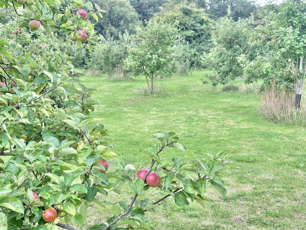 Additional image 82 of Cheddar Road, Axbridge