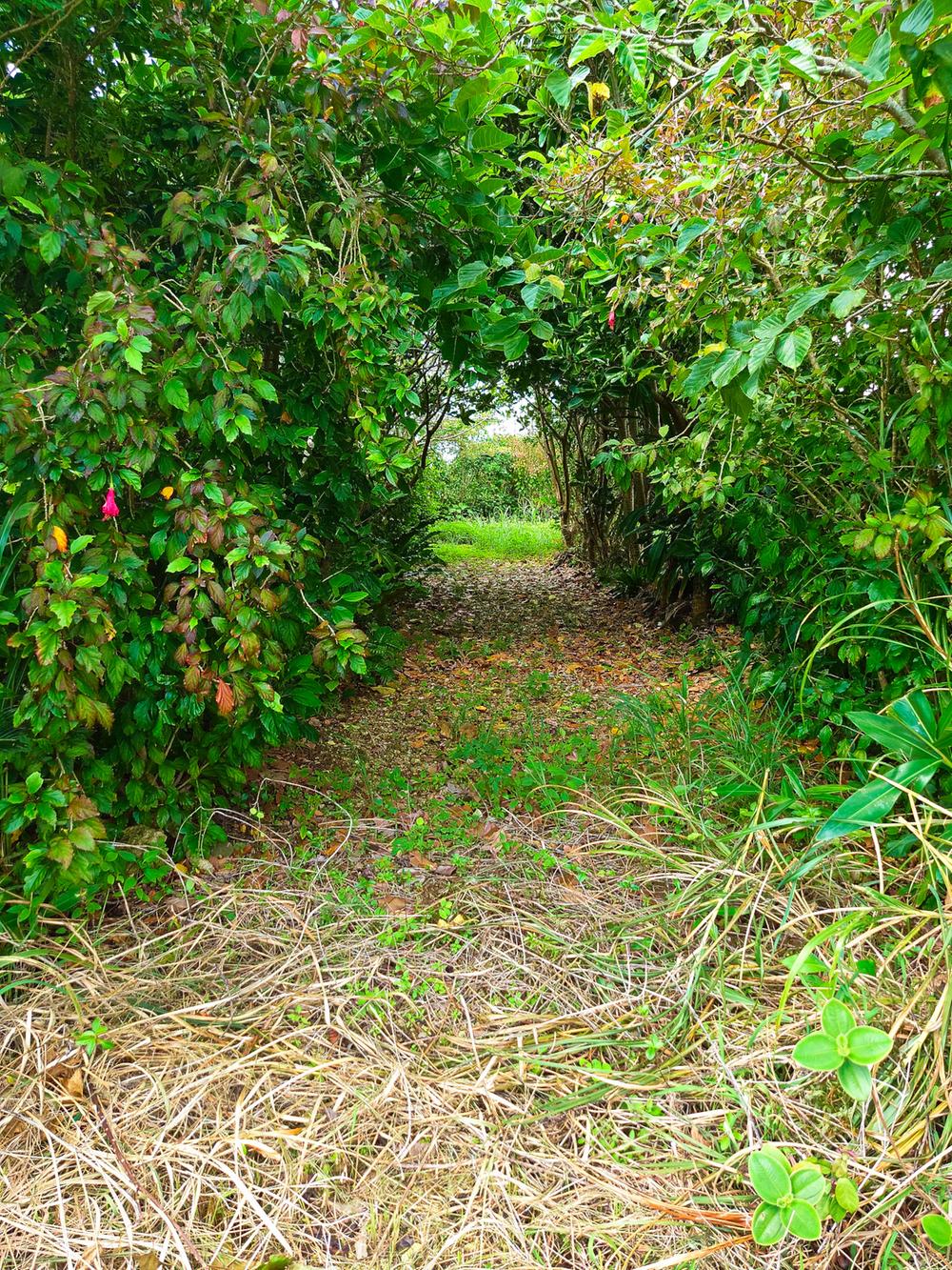 Additional image 13 of Uehara, Taketomi-cho, Yaeyama-gun, Okinawa Prefecture
