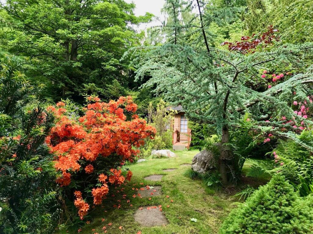 Additional image 57 of Dyce, Cothal, AB21