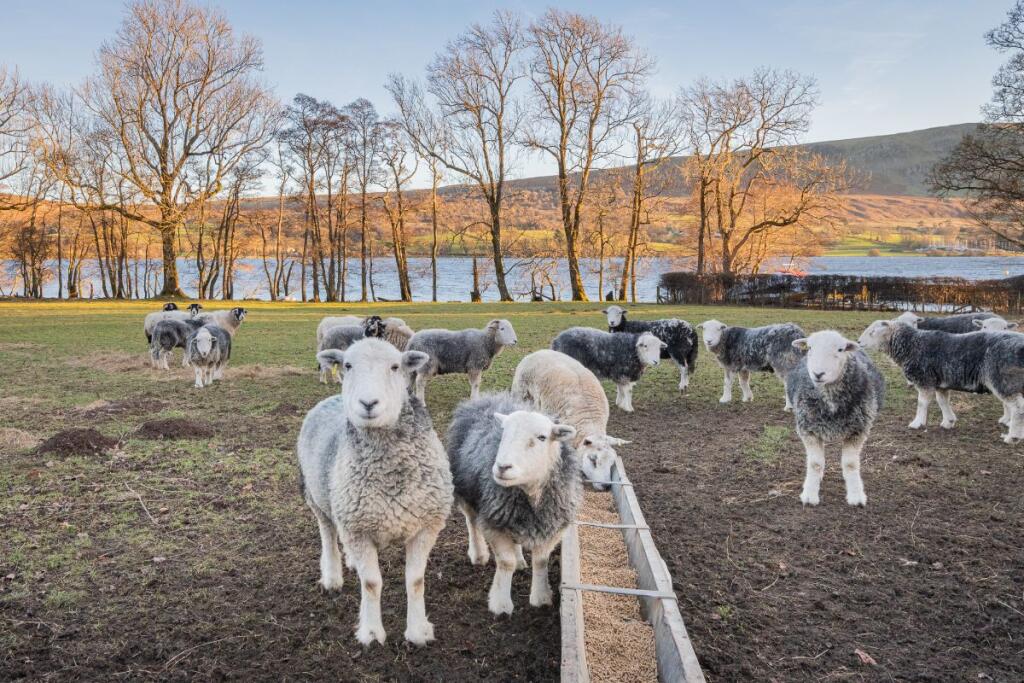 Additional image 33 of Belle Grove Estate, Watermillock, Ullswater, CA11 0LP