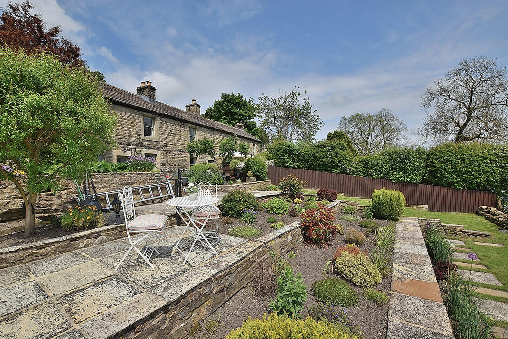 Additional image 22 of Low Row