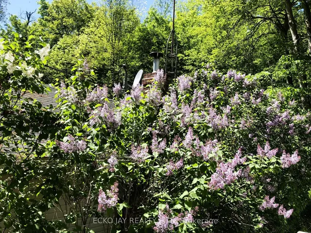 Additional image 23 of 32 Bradgate Rd