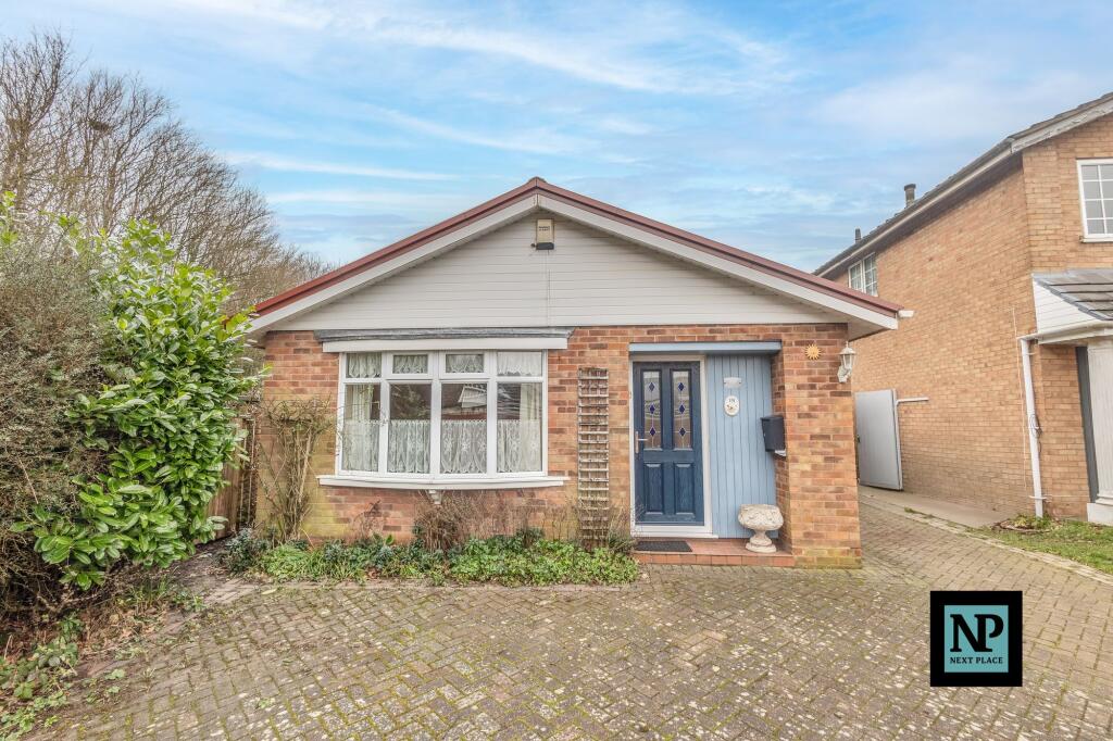 Additional image 17 of Quince, Tamworth, B77