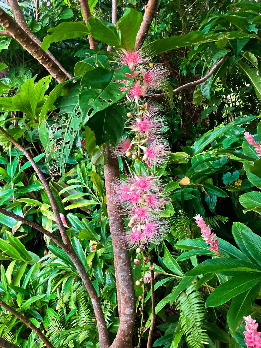 Additional image 17 of Uehara, Taketomi-cho, Yaeyama-gun, Okinawa Prefecture
