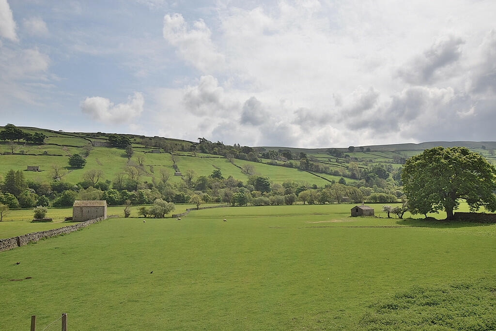 Additional image 27 of Low Row