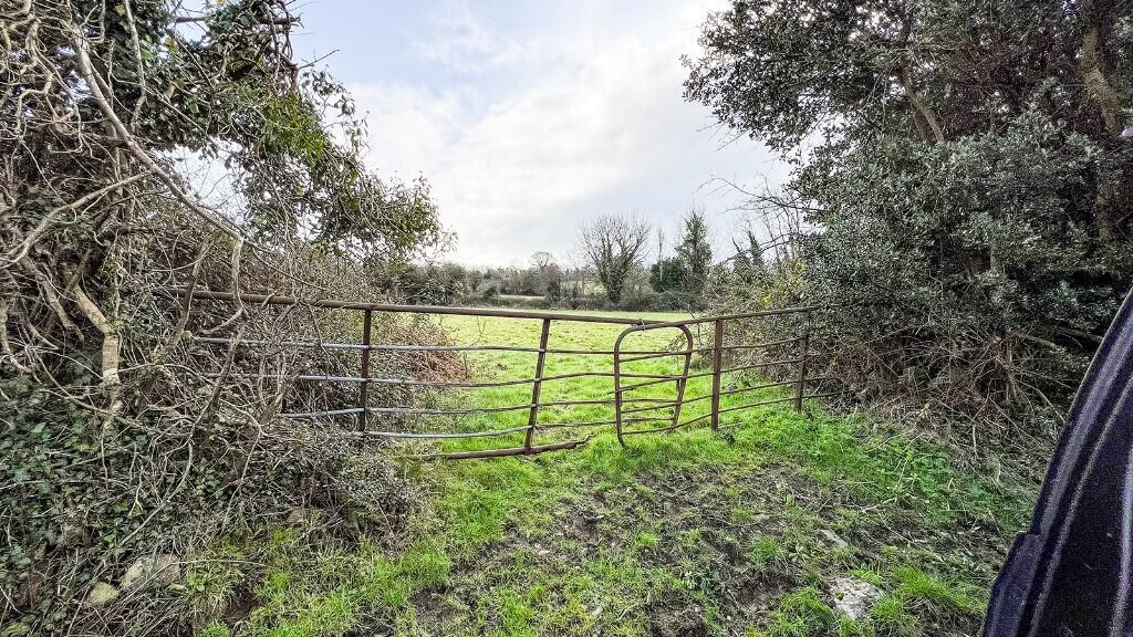 Additional image 2 of Lands At Clune Circa 4.62 Acres, Inistioge, Co Kilkenny, Ireland