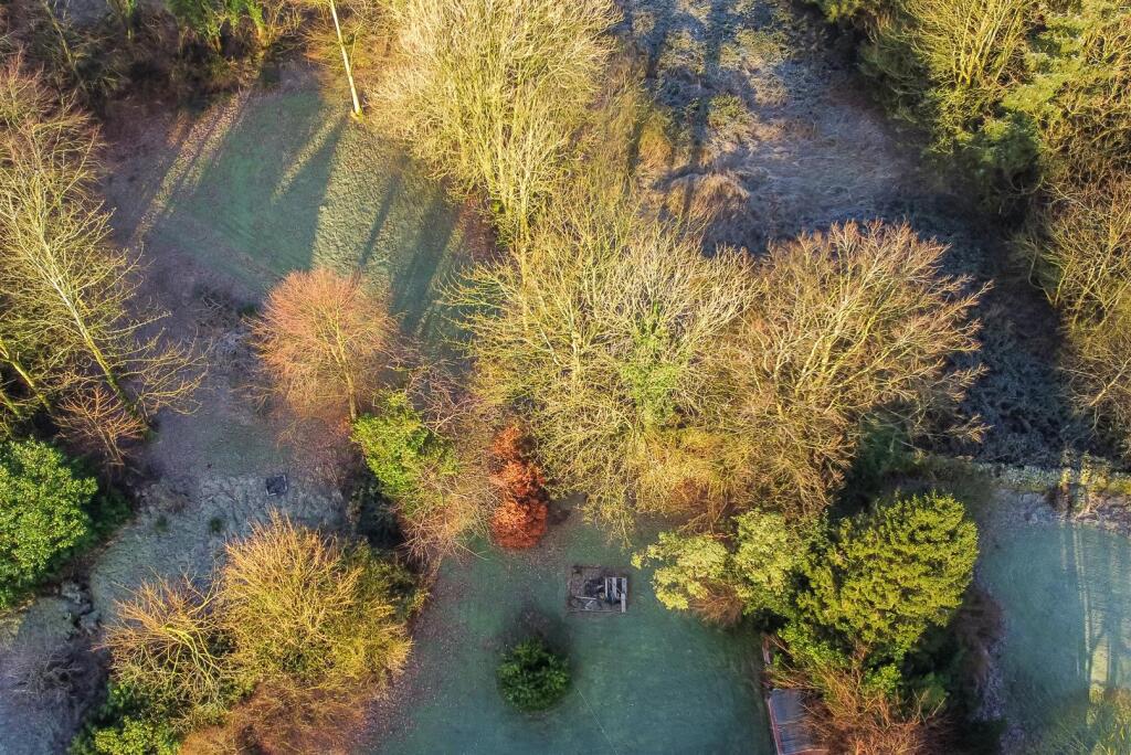 Additional image 38 of Wellington, Gosforth