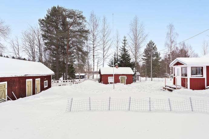 Additional image 3 of Luppio 241