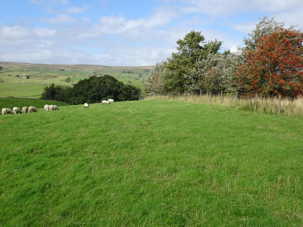 Additional image 26 of Kelton, Middleton-in-Teesdale, County Durham, DL12