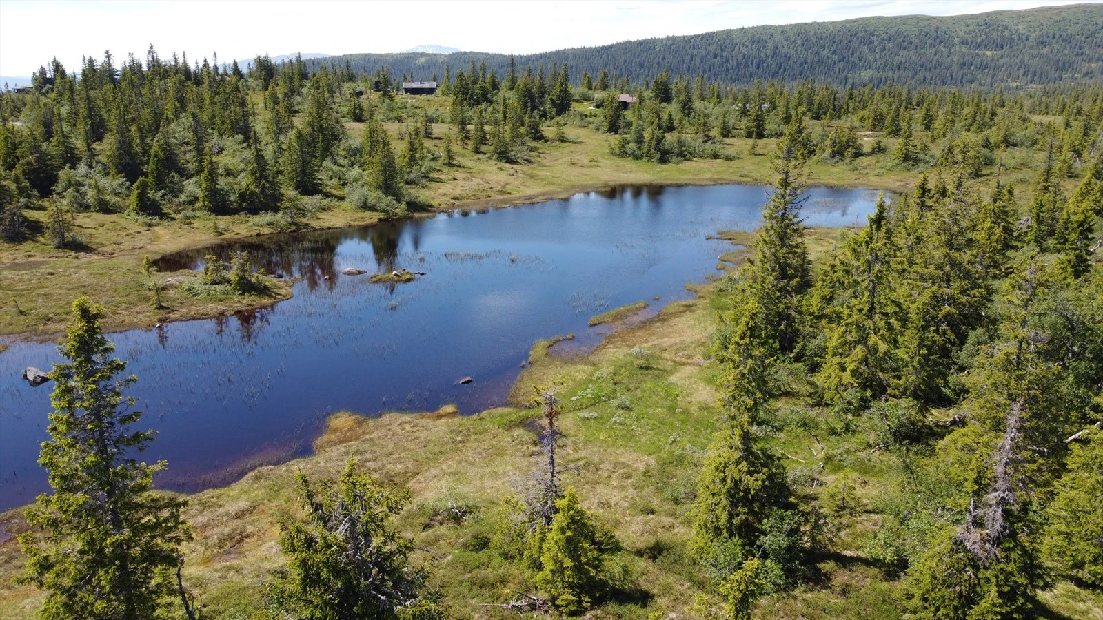 Additional image 3 of Vorsetvegen 335, 3628 Veggli
