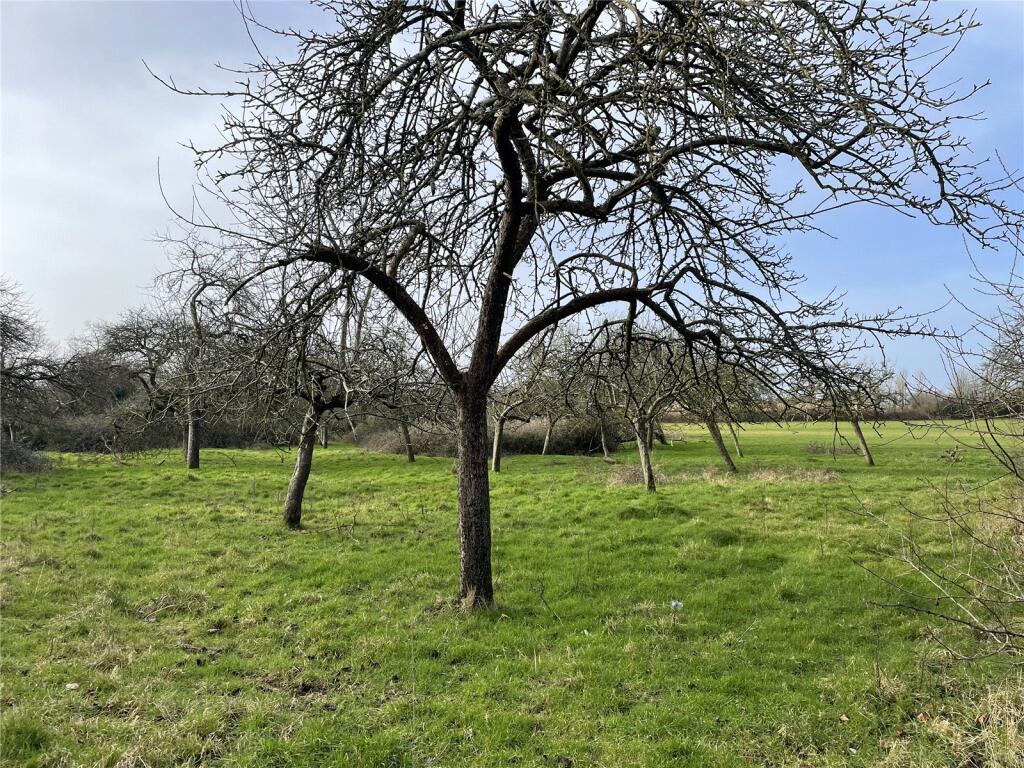 Additional image 4 of Allerton Lane, Stone Allerton, Axbridge, Somerset, BS26