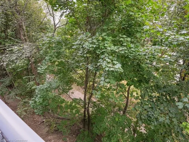 Additional image 36 of 479 Charlton Ave Unit 204