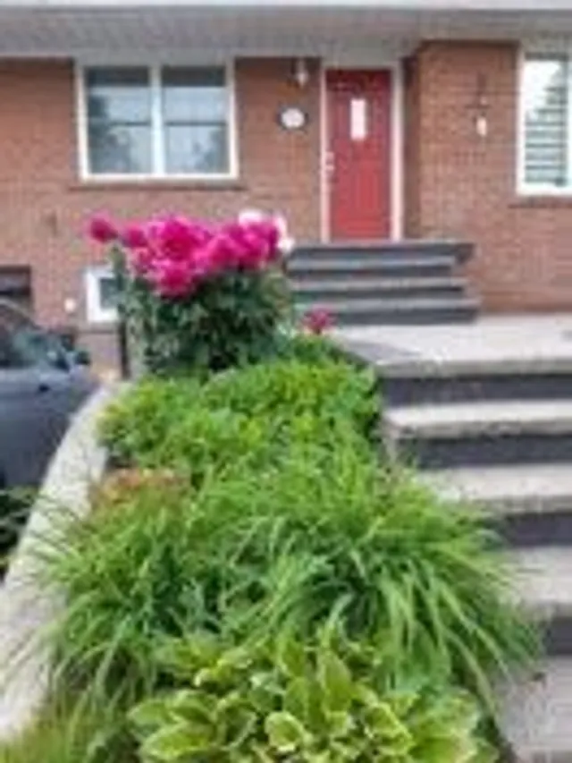 Additional image 3 of 37 Meadowland Dr