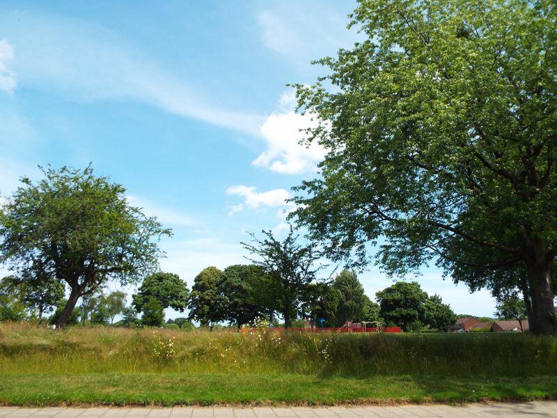 Additional image 22 of Warwards Lane, Selly Oak, Birmingham, B29 7QR