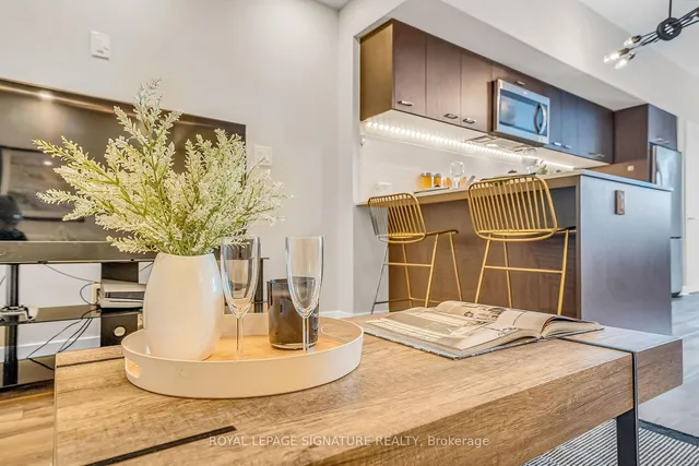 Additional image 17 of 10 Echo Pt Unit 121