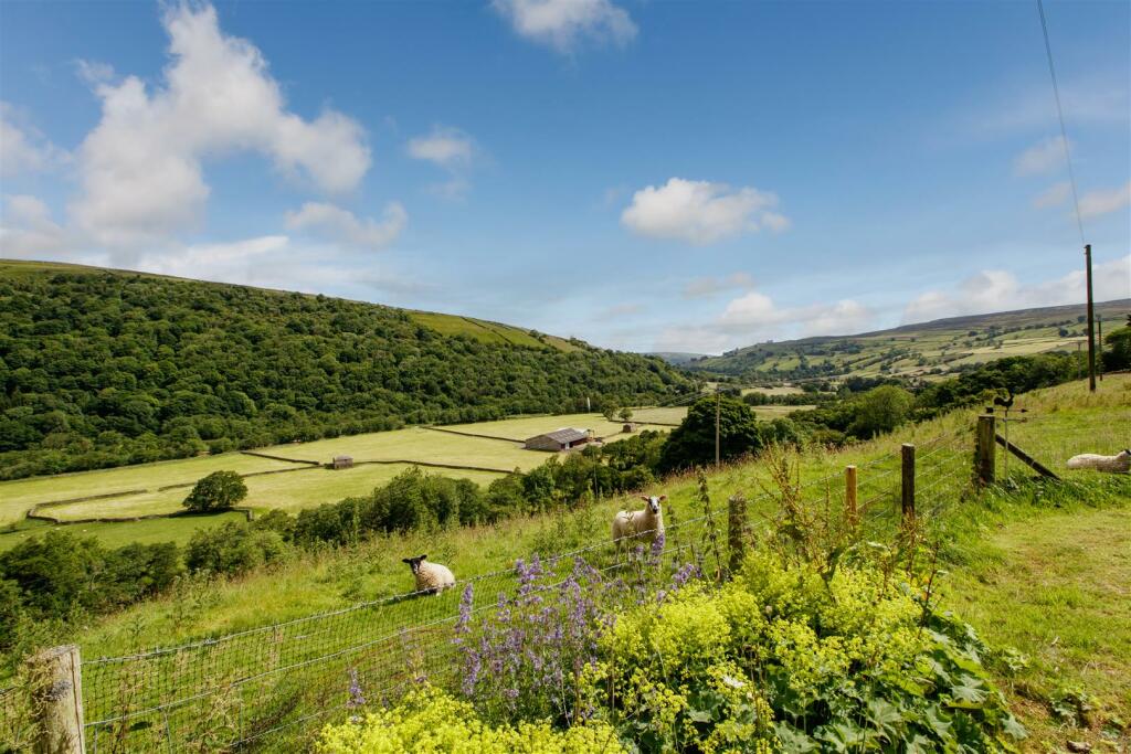 Additional image 18 of Low Row, Richmond