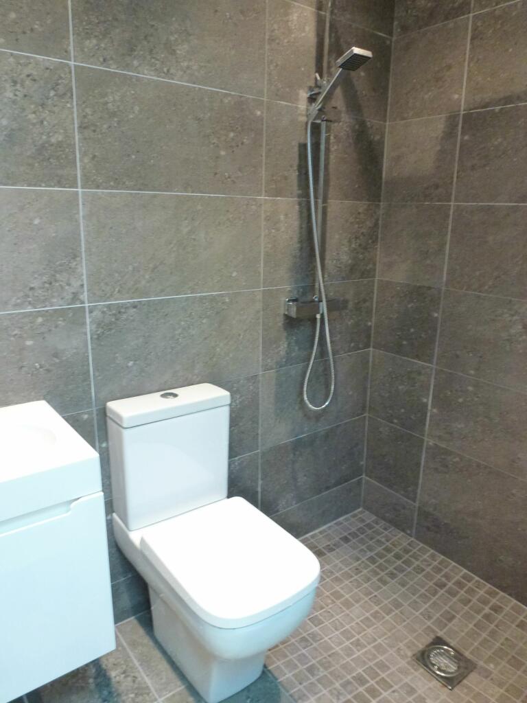 Additional image 12 of Hirwain Street, Cathays, CF24