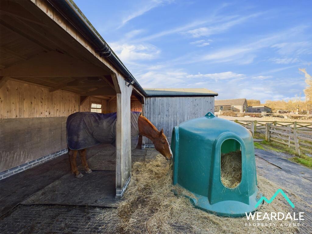 Additional image 75 of Stanhope, DL13