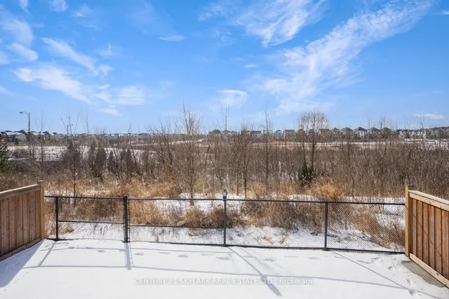 Additional image 39 of 1326 Raspberry Terr