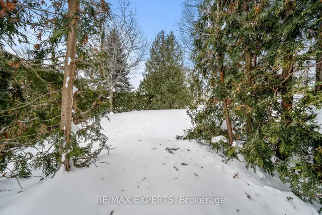 Additional image 40 of 100 Antioch Dr